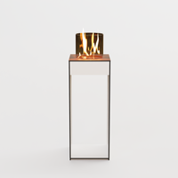 Glow Fire Emma Concept L Outdoor Ethanolkamin