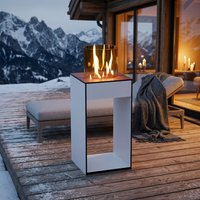 Glow Fire Emma Concept M Outdoor Ethanolkamin